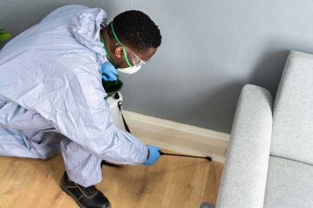 Best Residential Pest Control  in Indian Head, MD